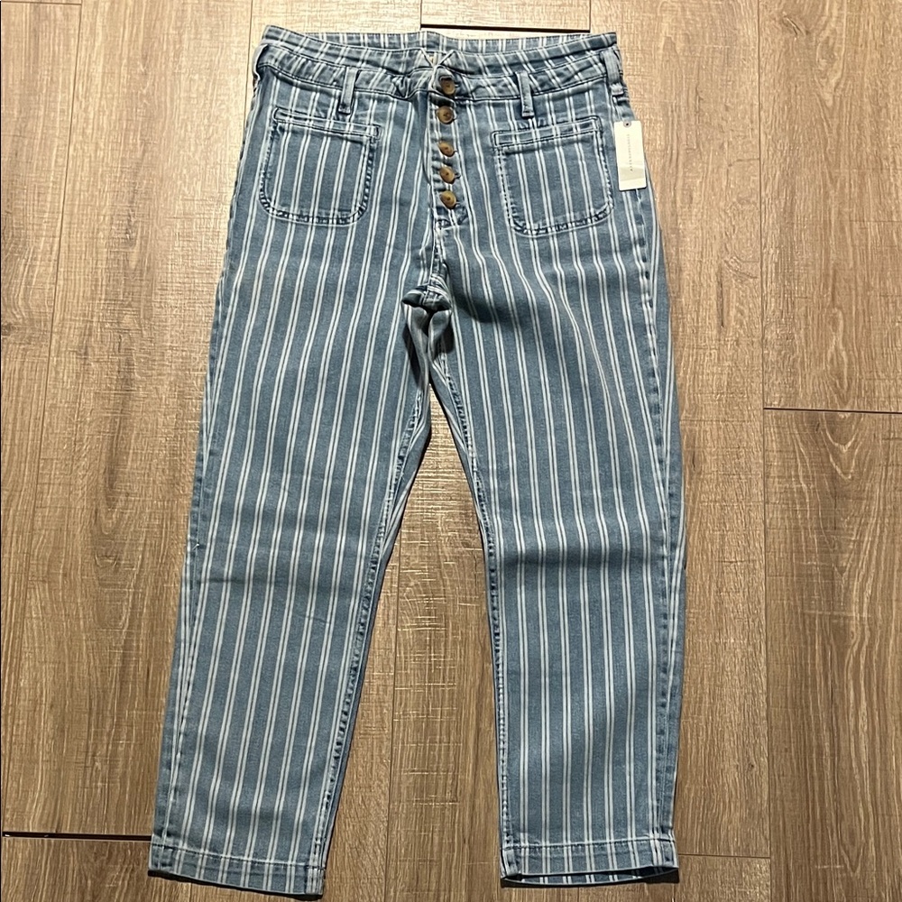 Pilcro and the Letterpress Denim w/ White Stripes Anthropologie Size 31 Slim NWT